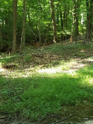Pheasant Run Community Park