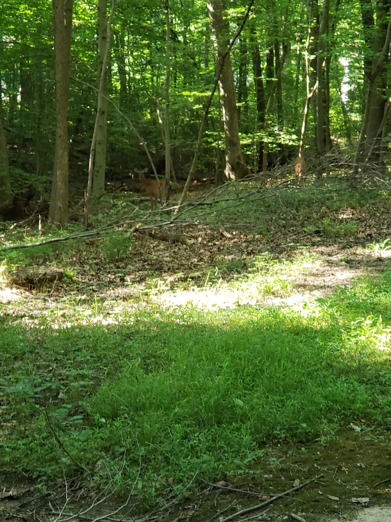 Pheasant Run Community Park - Laurel, MD