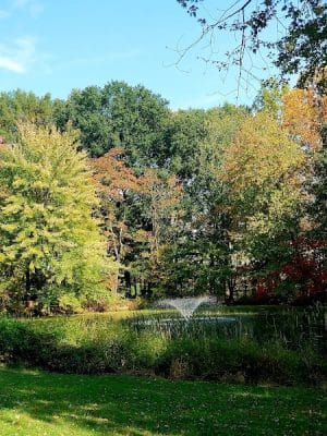 Roland B. Sweitzer Community Park