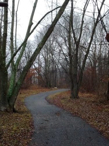 Roland B. Sweitzer Community Park