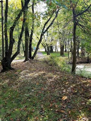 Roland B. Sweitzer Community Park