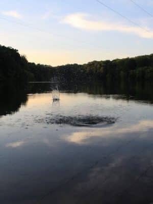 T. Howard Duckett Park