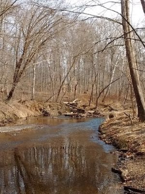 Riverfront Park