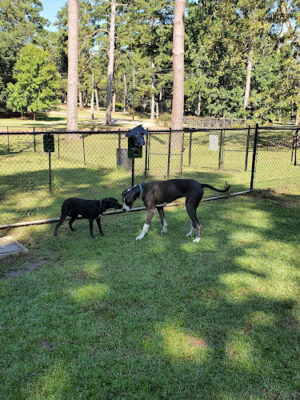 Laurel Dog Park