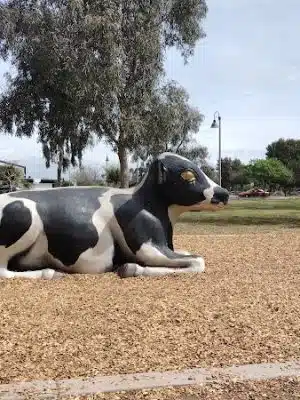 Cesar Chavez Dog Park