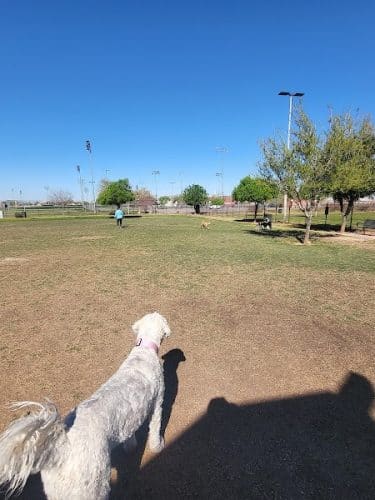 Cesar Chavez Dog Park
