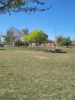Cesar Chavez Dog Park