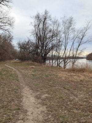Riverfront Dog Park