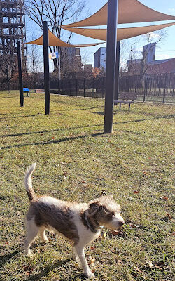 Hero Dog Park