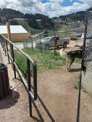 Lead Dog Park