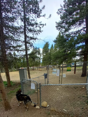 Leadville Dog Park