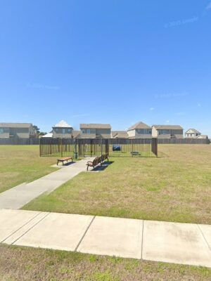 Allison's dog park