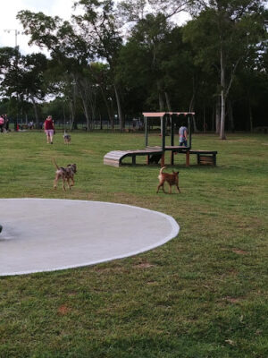 Bark Park at Countryside (League City Dog Park)