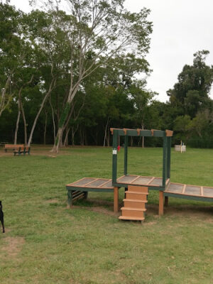 Dog Park