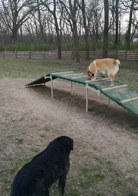 Leawoof Dog Park