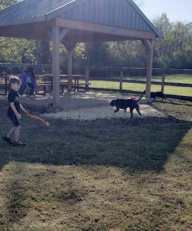 Dog Park