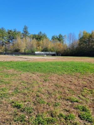 Friend Lee Pets Dog Park
