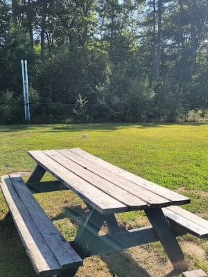 Friend Lee Pets Dog Park
