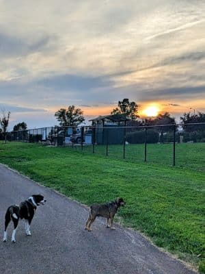 Dogwood Park