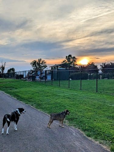 Dogwood Park