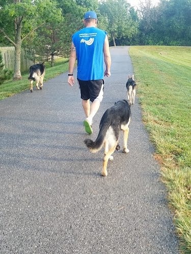 Happy Tails Park