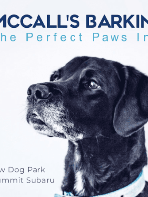 McCall's Barking Lot