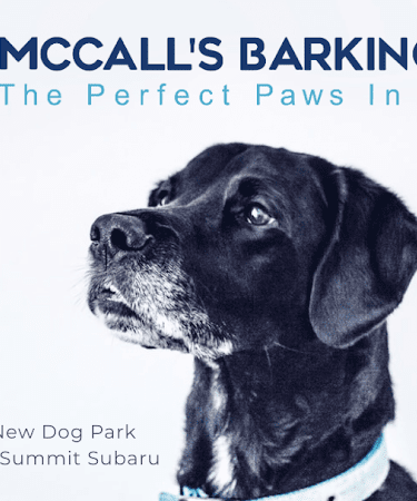 McCall's Barking Lot