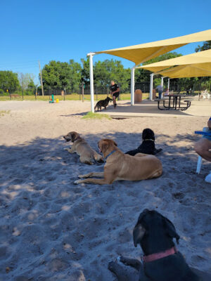 Leesburg Dog Park