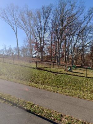 Association Only-Dog Park