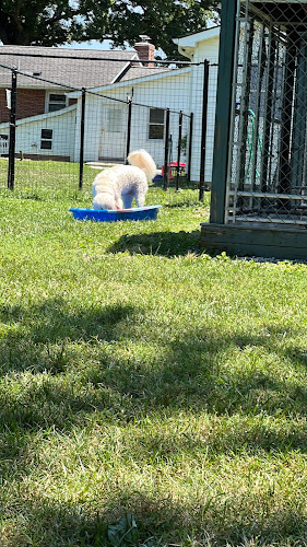 Sniff Spot Peaceful Acre Private Dog Park