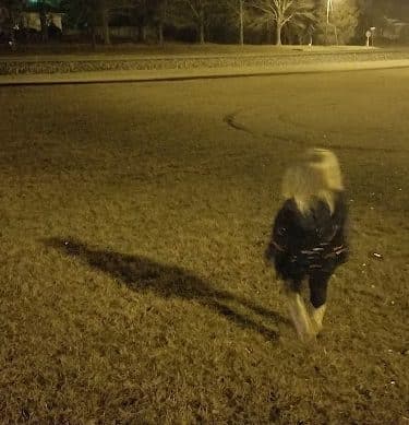 Summit Park And Playground