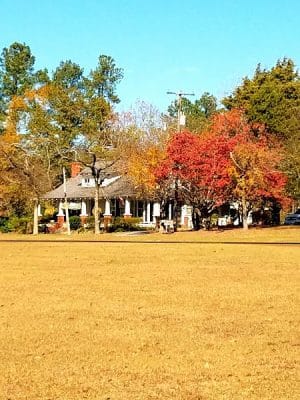 Summit Park And Playground