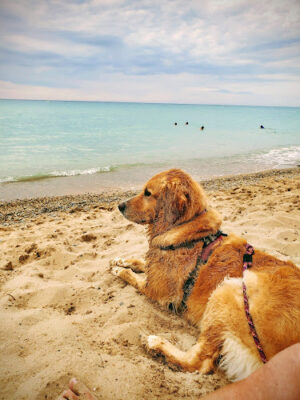 Reynolds Street Beach