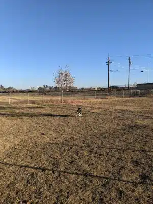 Waggin' Tails Dog Park