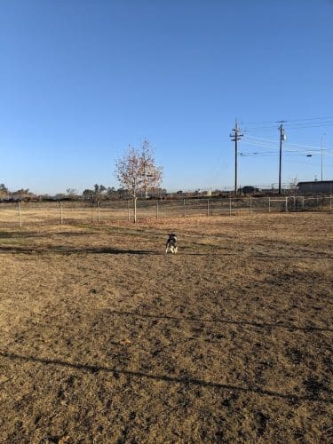 Waggin' Tails Dog Park