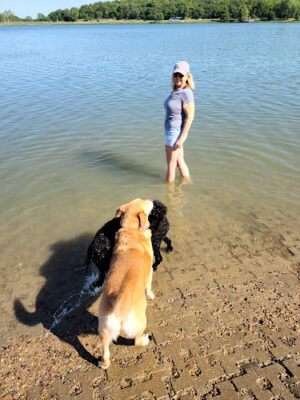 Shawnee Mission Park Dog Beach