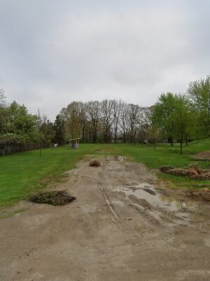 Lennon Lions Park