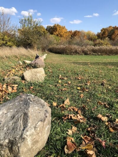 Feek County Park - Leonidas,