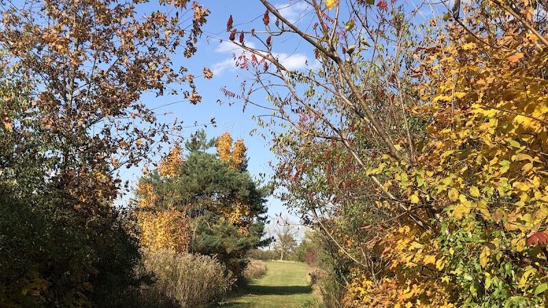 Feek County Park - Leonidas,