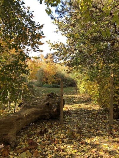 Feek County Park - Leonidas,