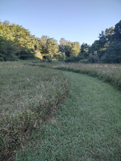Feek County Park - Leonidas,