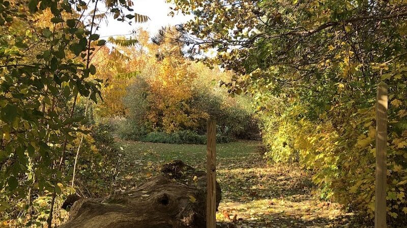 Feek County Park - Leonidas,