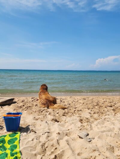 Township Park - Levering, MI