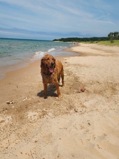 Township Park - Levering, MI