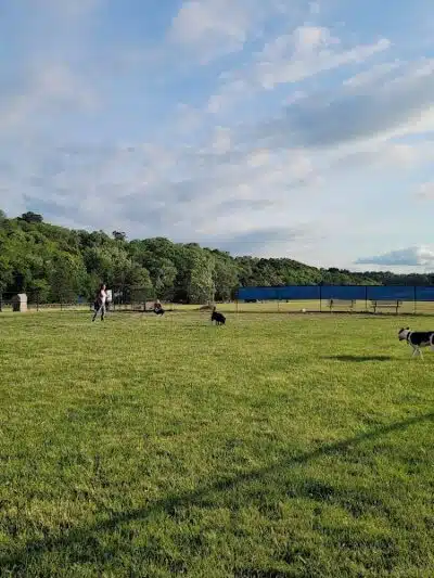 Lewiston Dog Park - Lewiston, MI