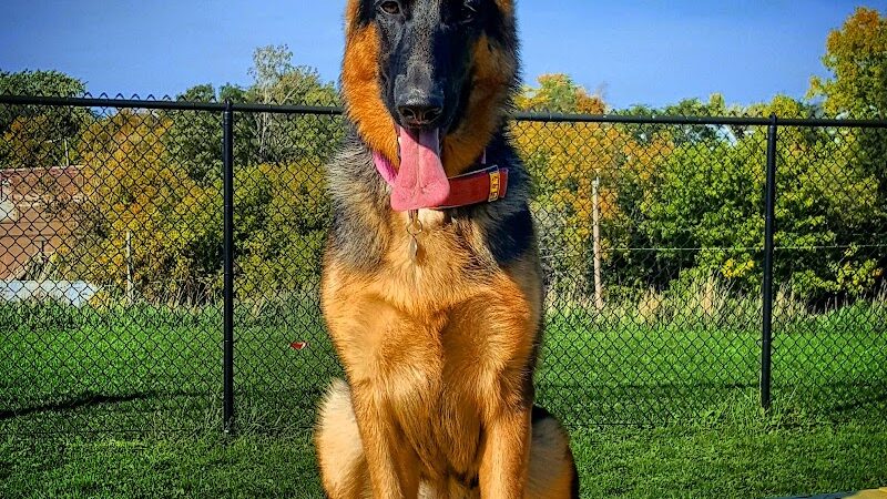 Lewiston Dog Park - Lewiston, MI