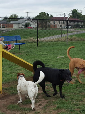 Lewiston Dog Park