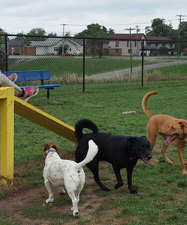 Lewiston Dog Park