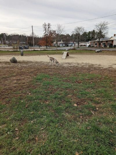 Robin's Garden & Dog Park - Lewiston, MI