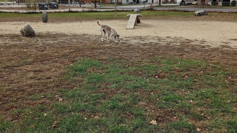Robin's Garden & Dog Park - Lewiston, MI
